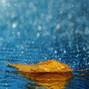 美女桶男人的机机
