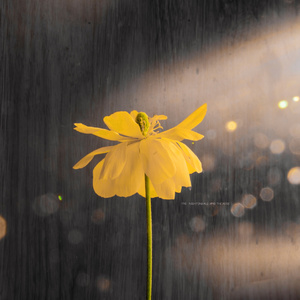 美女桶男人的机机
